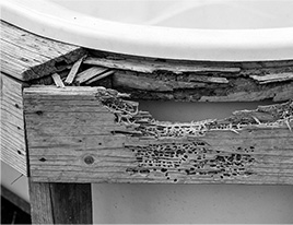 structure-img06-1